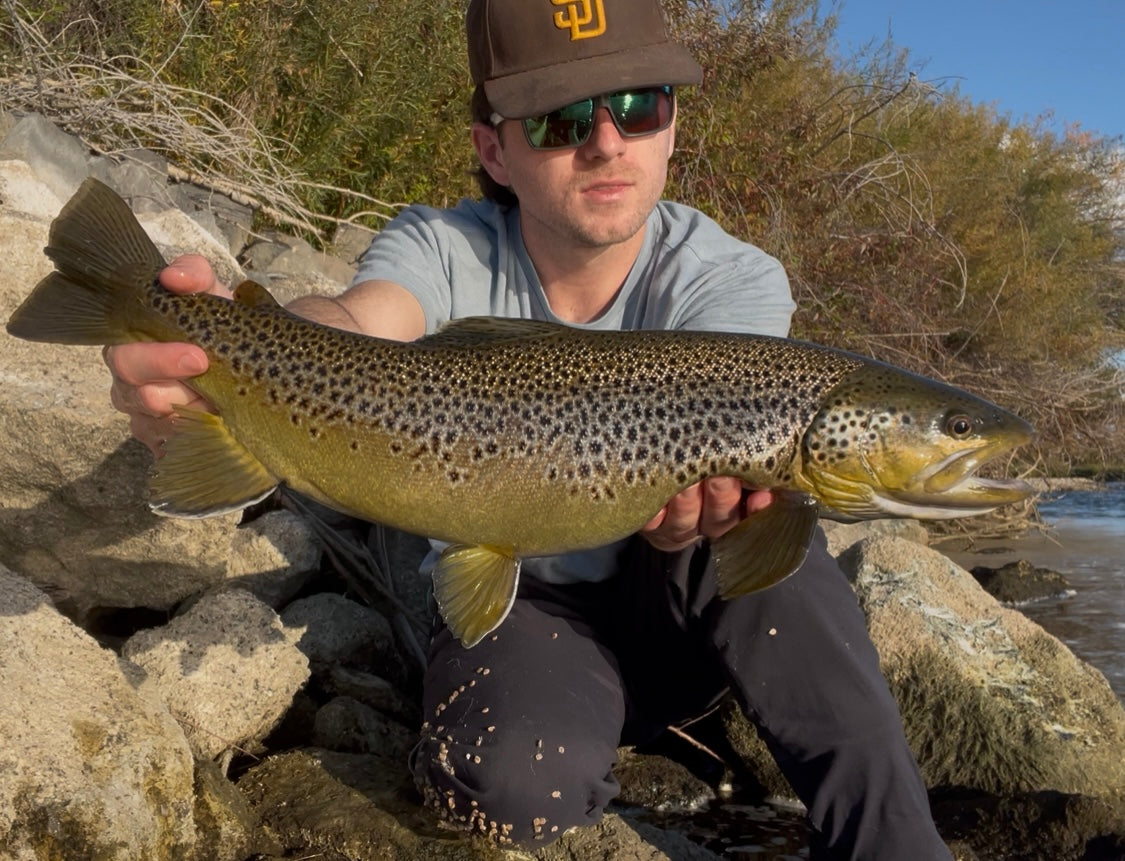 Jigged Leeches